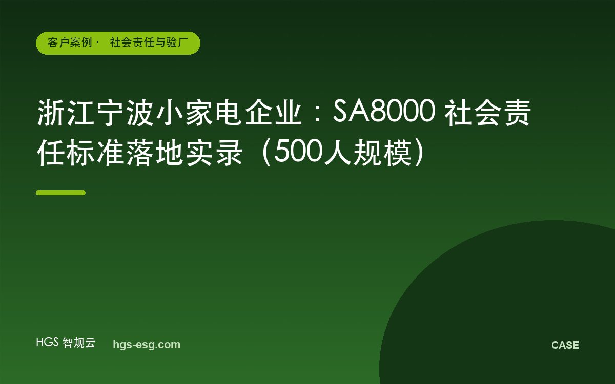 浙江宁波小家电企业：SA8000 社会责任标准落地实录（500人规模）